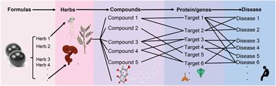 Multi-omics approaches for in-depth understanding of therapeutic mechanism for Traditional Chinese Medicine